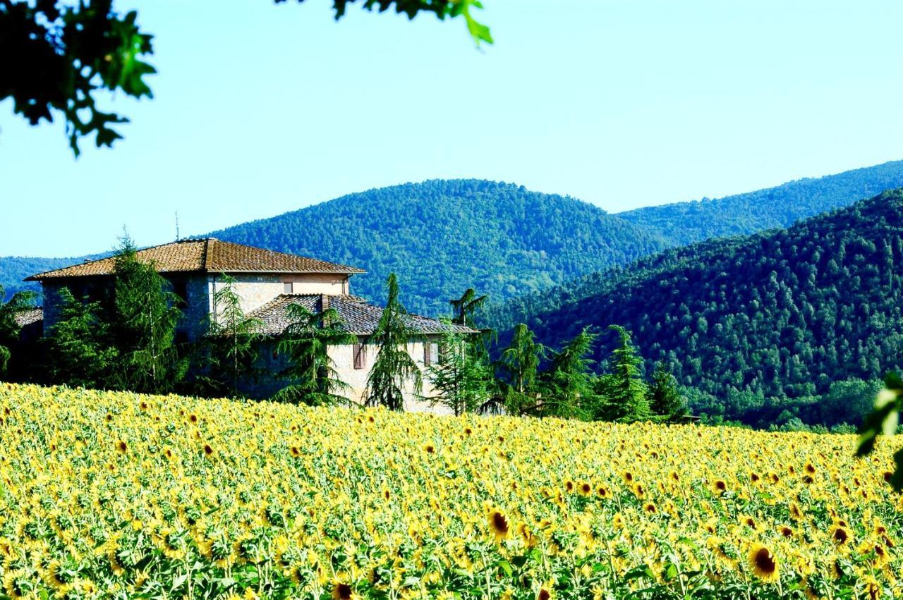 Agriturismo Montioni Совичиле Екстериор снимка