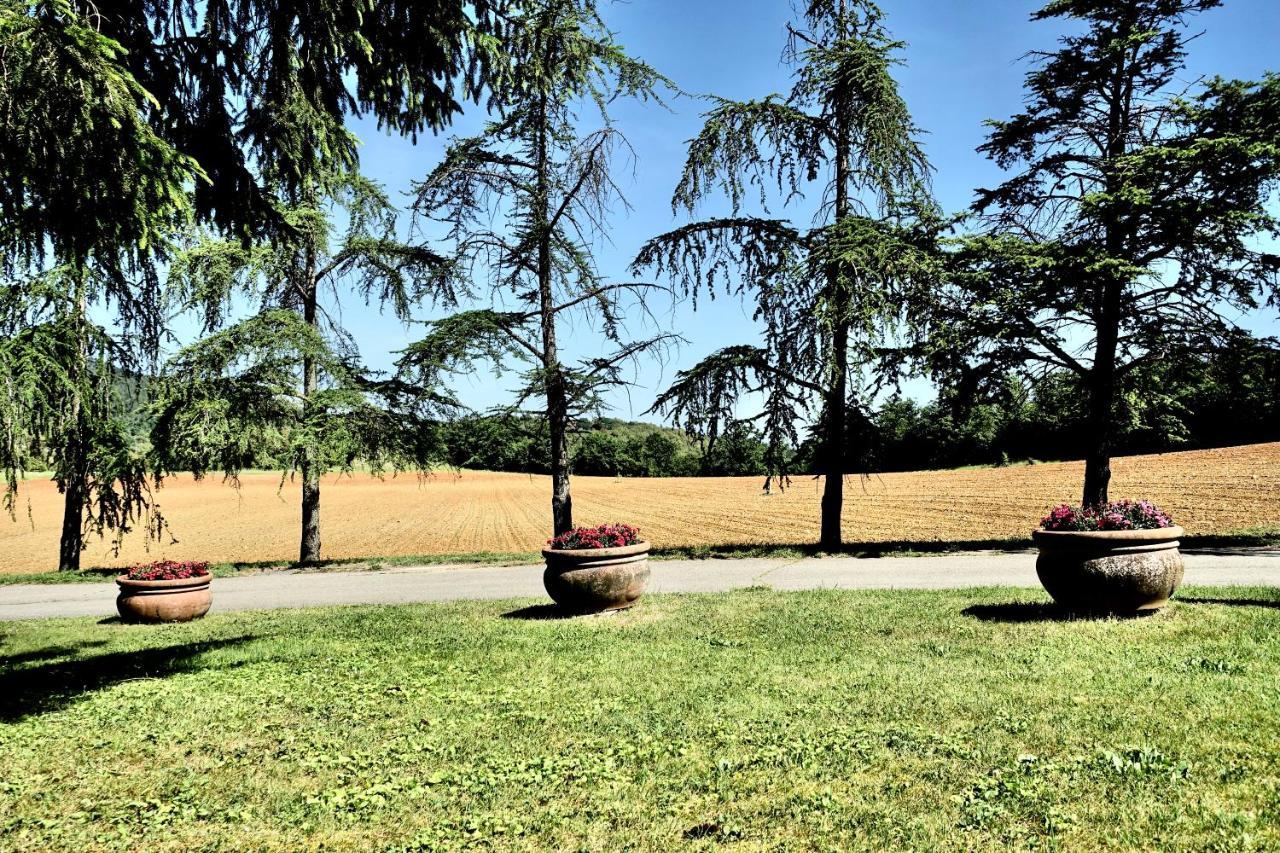 Agriturismo Montioni Совичиле Екстериор снимка
